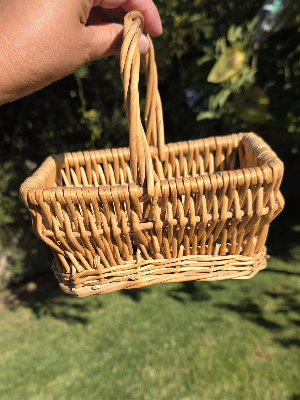 Small Woven Wicker Basket with Twisted Handle